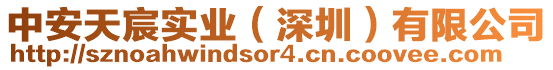 中安天宸實業(深圳)有限公司