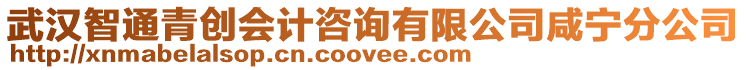 武漢智通青創會計咨詢有限公司咸寧分公司