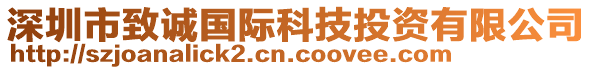 深圳市致誠國際科技投資有限公司