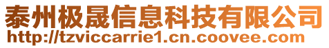 泰州极晟信息科技有限公司