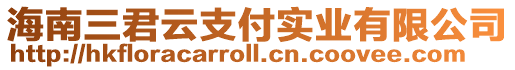 海南三君云支付實業有限公司