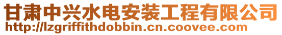 甘肅中興水電安裝工程有限公司
