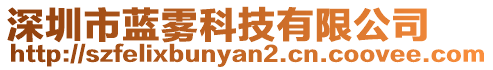 深圳市藍(lán)霧科技有限公司