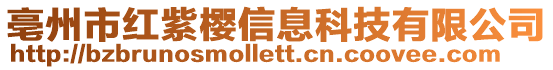 亳州市紅紫櫻信息科技有限公司