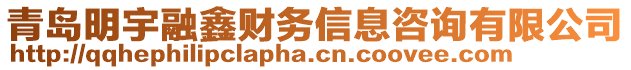 青島明宇融鑫財務信息咨詢有限公司