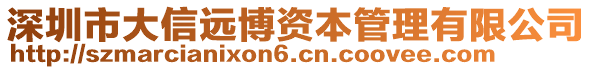 深圳市大信遠博資本管理有限公司