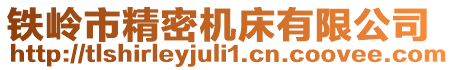 鐵嶺市精密機床有限公司