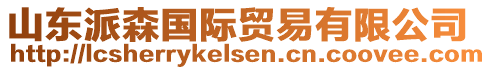 山東派森國際貿(mào)易有限公司