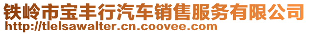 鐵嶺市寶豐行汽車銷售服務有限公司