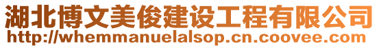 湖北博文美俊建設工程有限公司