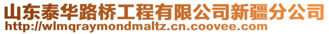 山東泰華路橋工程有限公司新疆分公司
