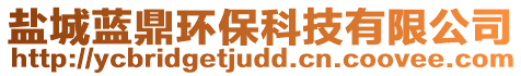 鹽城藍鼎環(huán)保科技有限公司