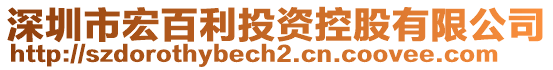 深圳市宏百利投資控股有限公司