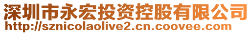 深圳市永宏投資控股有限公司