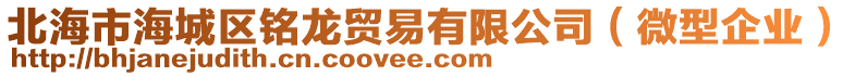 北海市海城區(qū)銘龍貿(mào)易有限公司（微型企業(yè)）