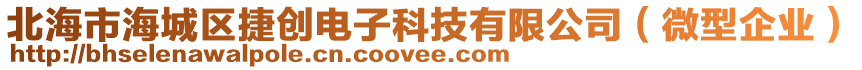 北海市海城區(qū)捷創(chuàng)電子科技有限公司（微型企業(yè)）