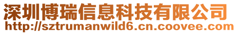 深圳博瑞信息科技有限公司