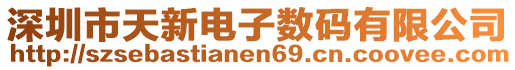 深圳市天新電子數碼有限公司