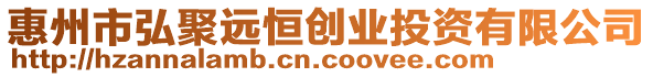 惠州市弘聚遠恒創業投資有限公司