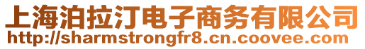 上海泊拉汀電子商務(wù)有限公司