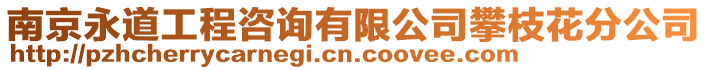 南京永道工程咨詢有限公司攀枝花分公司