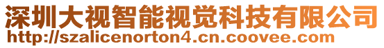 深圳大視智能視覺科技有限公司