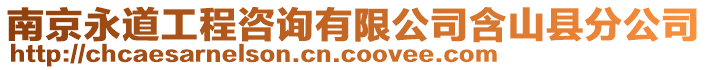 南京永道工程咨詢有限公司含山縣分公司