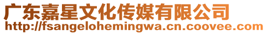 廣東嘉星文化傳媒有限公司
