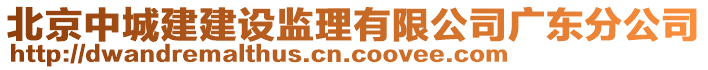 北京中城建建設監理有限公司廣東分公司