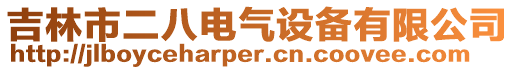 吉林市二八電氣設備有限公司