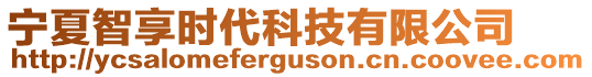 寧夏智享時代科技有限公司