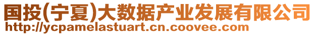 國投(寧夏)大數據產業發展有限公司