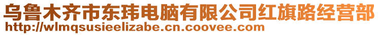 烏魯木齊市東瑋電腦有限公司紅旗路經(jīng)營部