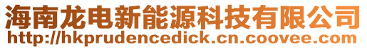 海南龍電新能源科技有限公司