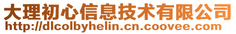 大理初心信息技術(shù)有限公司