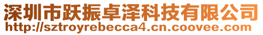 深圳市躍振卓澤科技有限公司