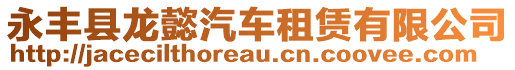 永豐縣龍懿汽車租賃有限公司