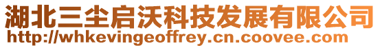 湖北三塵啟沃科技發展有限公司