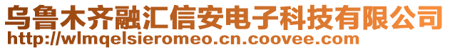 烏魯木齊融匯信安電子科技有限公司