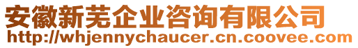 安徽新蕪企業咨詢有限公司