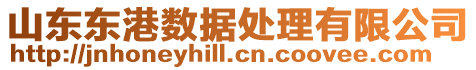 山東東港數(shù)據(jù)處理有限公司