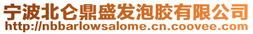 寧波北侖鼎盛發(fā)泡膠有限公司
