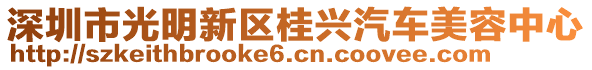 深圳市光明新區(qū)桂興汽車美容中心