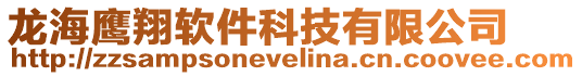 龍海鷹翔軟件科技有限公司