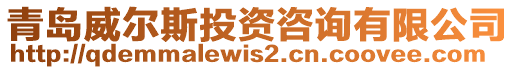 青島威爾斯投資咨詢有限公司