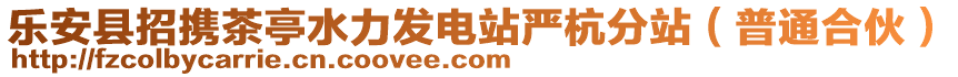 樂安縣招攜茶亭水力發電站嚴杭分站(普通合伙)