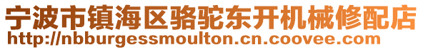 寧波市鎮(zhèn)海區(qū)駱駝東開機(jī)械修配店