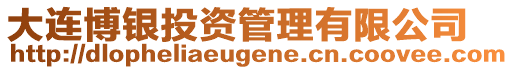 大連博銀投資管理有限公司