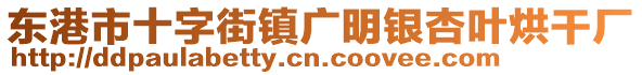 東港市十字街鎮廣明銀杏葉烘干廠