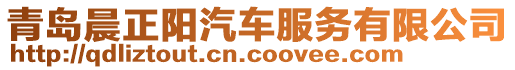 青島晨正陽汽車服務有限公司